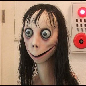 Meet your Posher, Paul